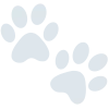 Pet-Friendly